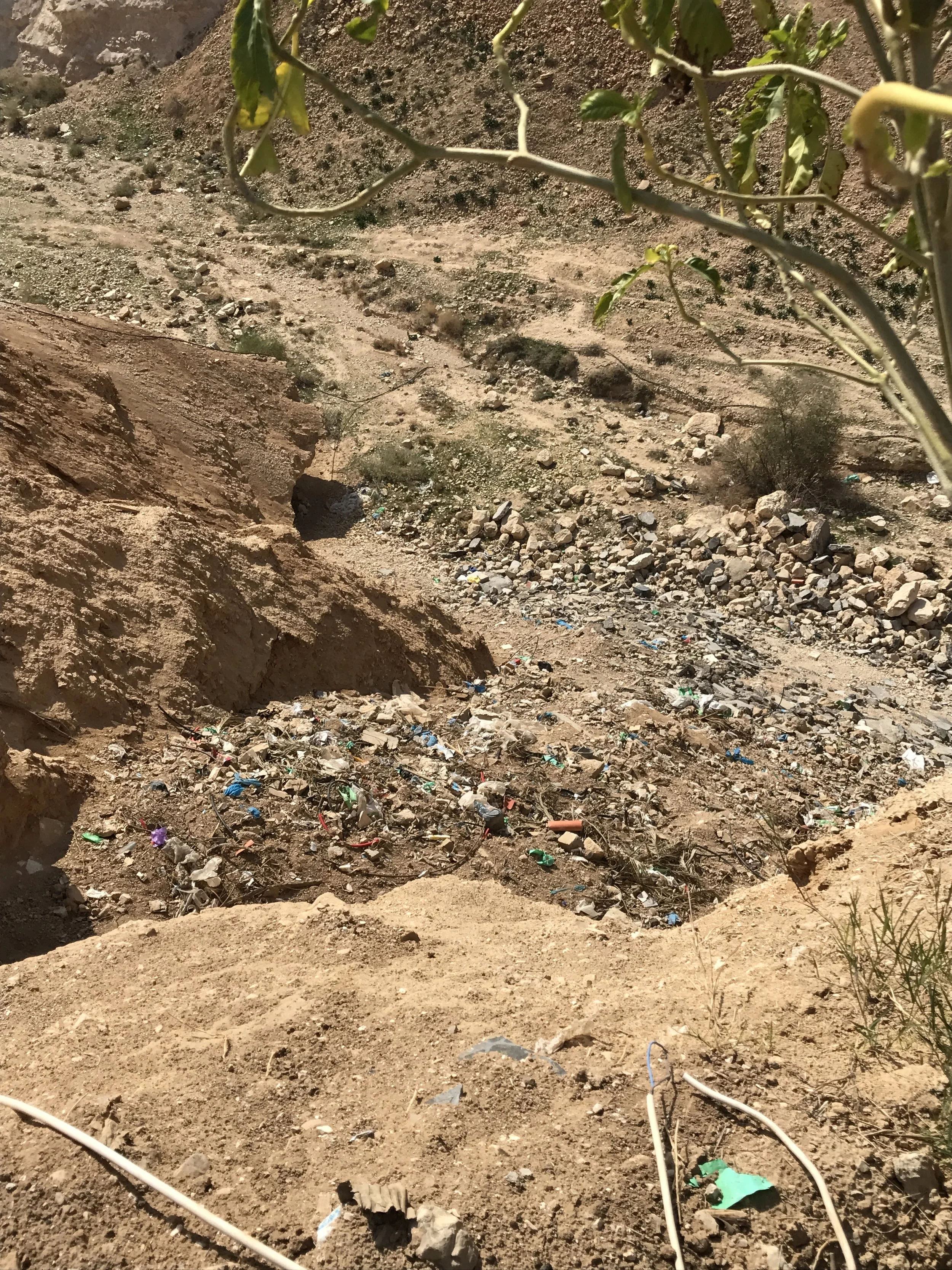 Passion Sunday: Deliver Me from My Enemies: Psalm 31:9-16