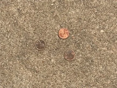 Holy Pennies: Philippians 4:1-9