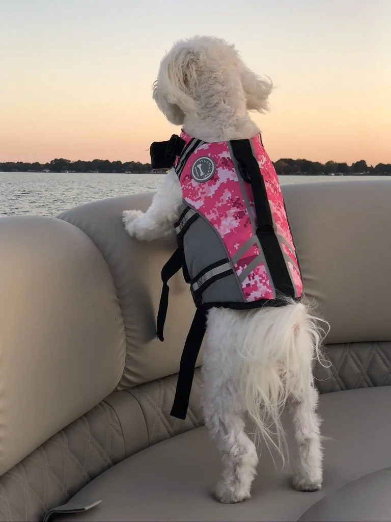 All Children of the Light: 1 Thessalonians 5:1-11