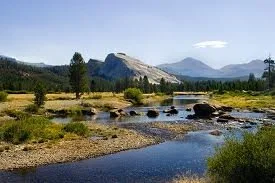 Christmas Day: Joy!  The Reflection of God's Glory - Hebrews 1:1-4 (5-12)