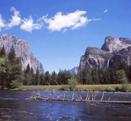 Monday of Holy Week: Drink from the River of Delight: Psalm 36:5-11