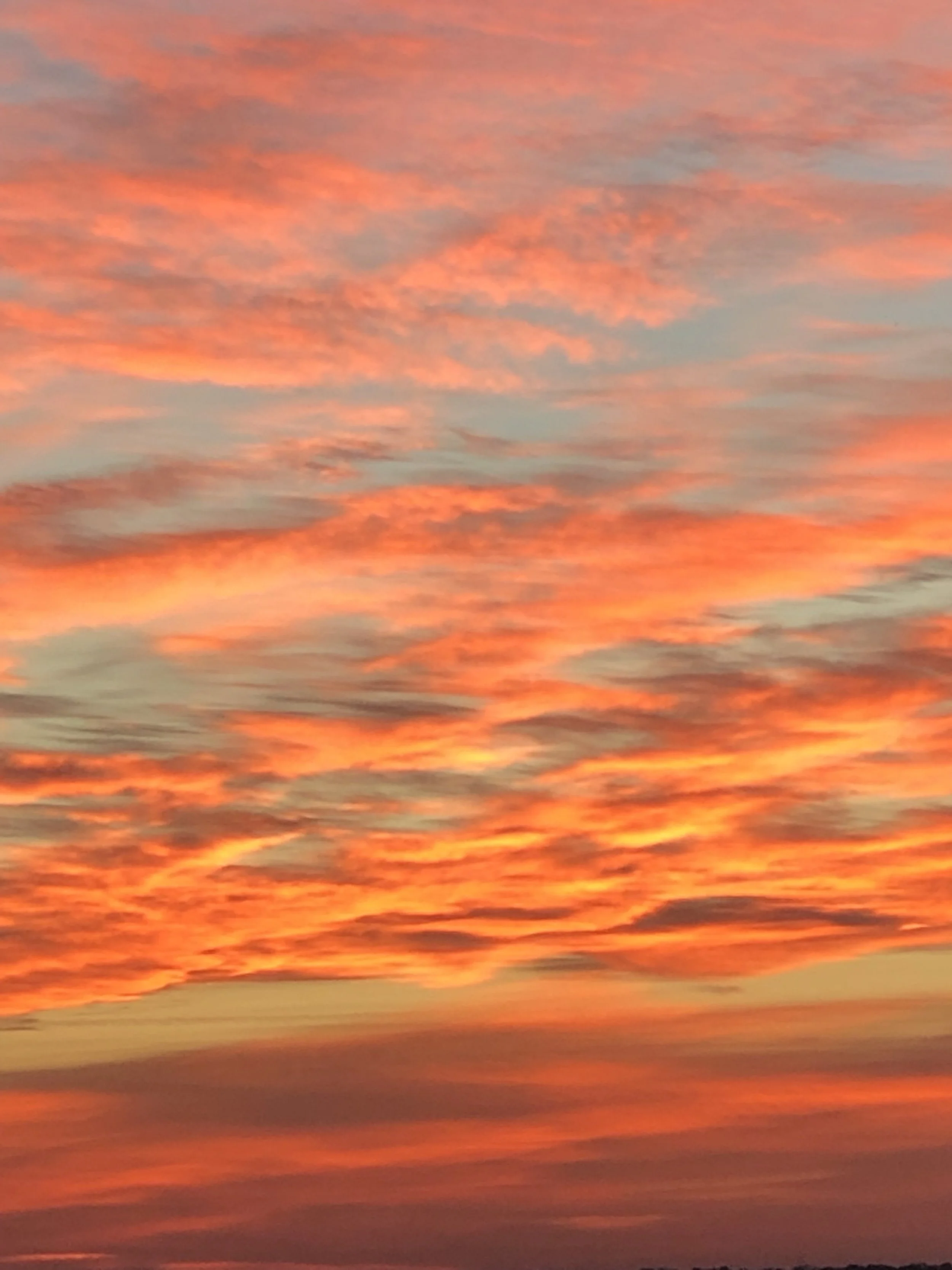 Wednesday of Holy Week: Deliver Me, Do Not Delay: Psalm  70:1-5