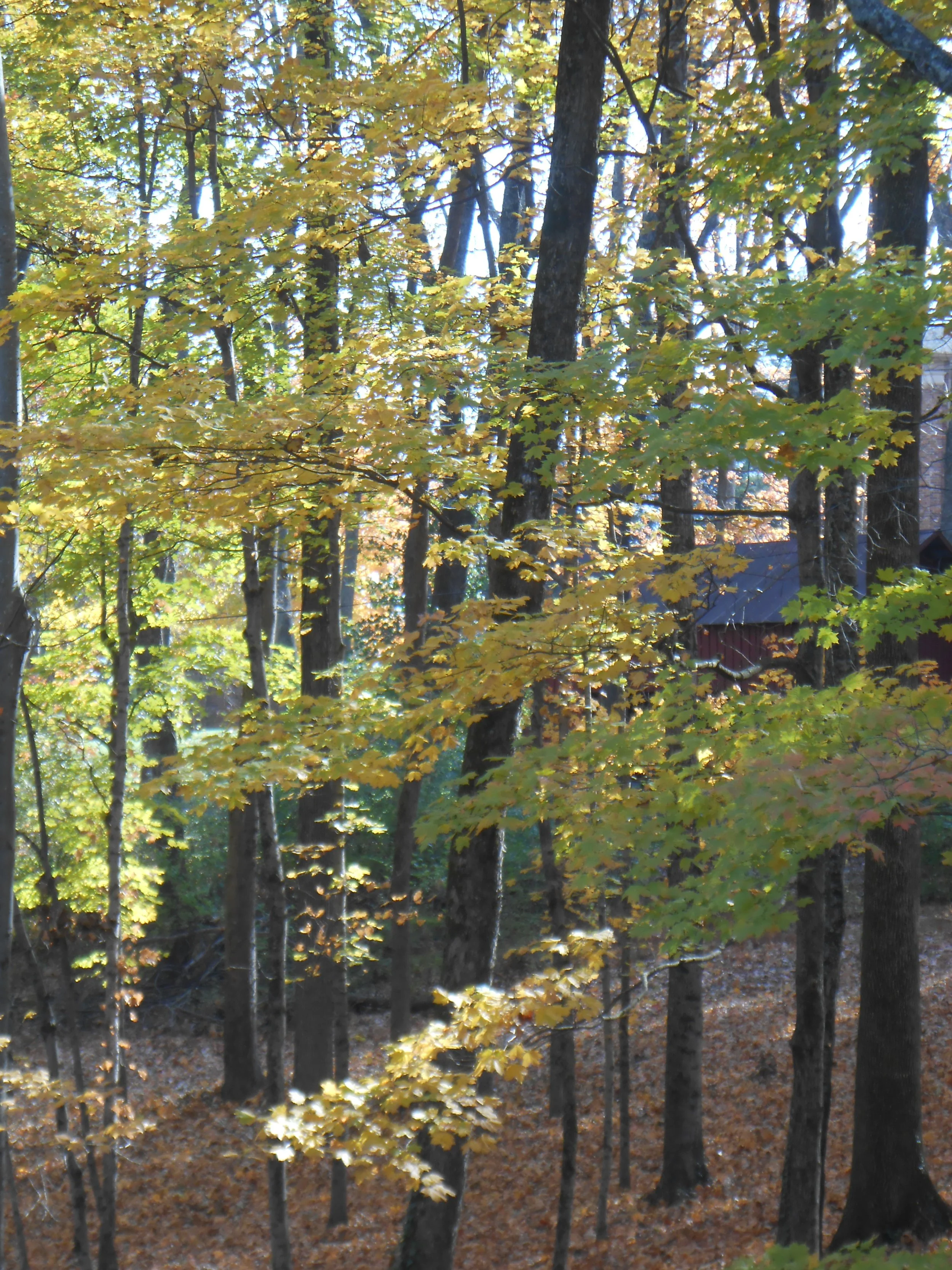 Happy New Year: See, I Am Making All Things New: Ecclesiastes 3:1-13