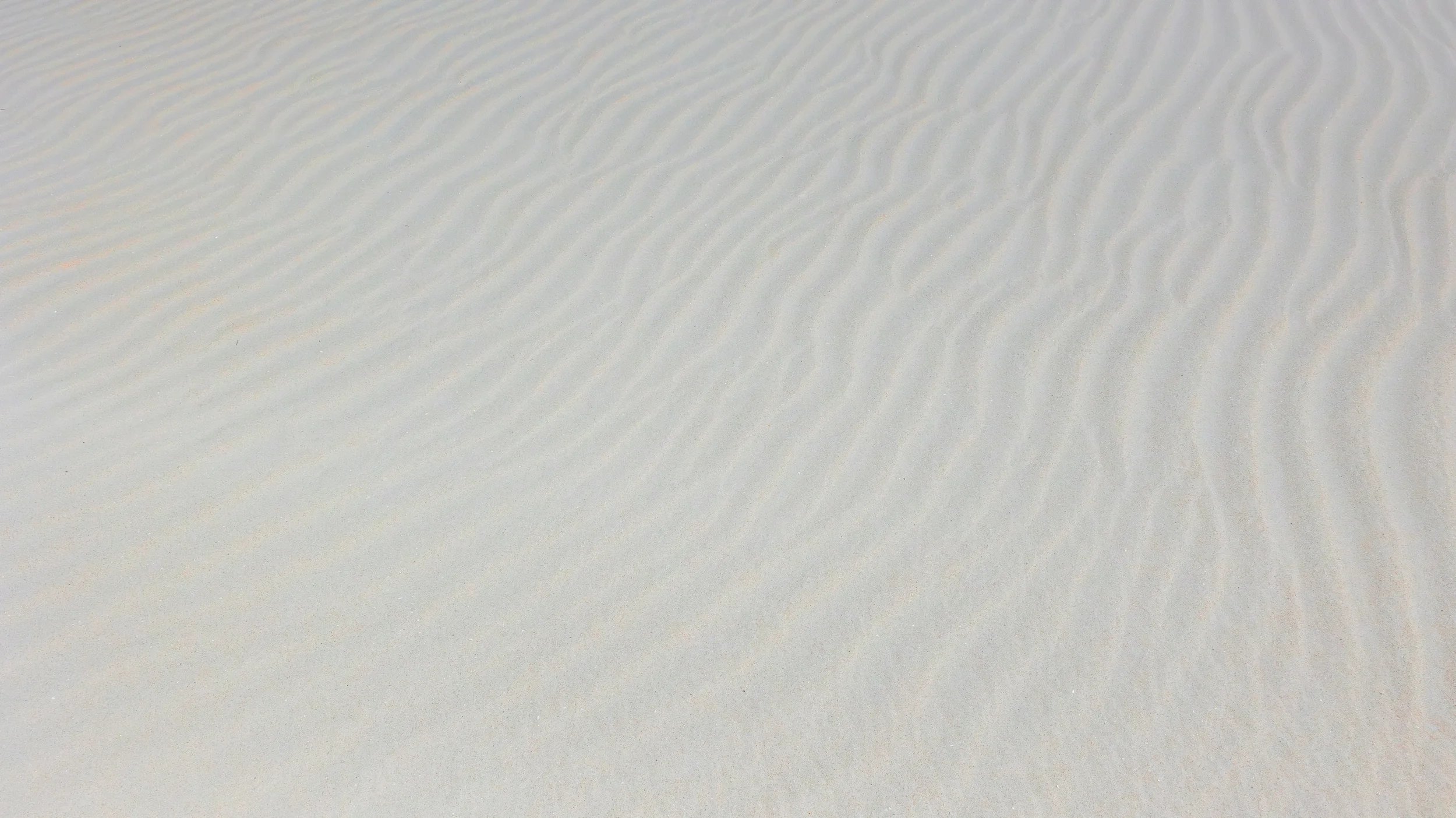 SW. ATELIER - SERVICES