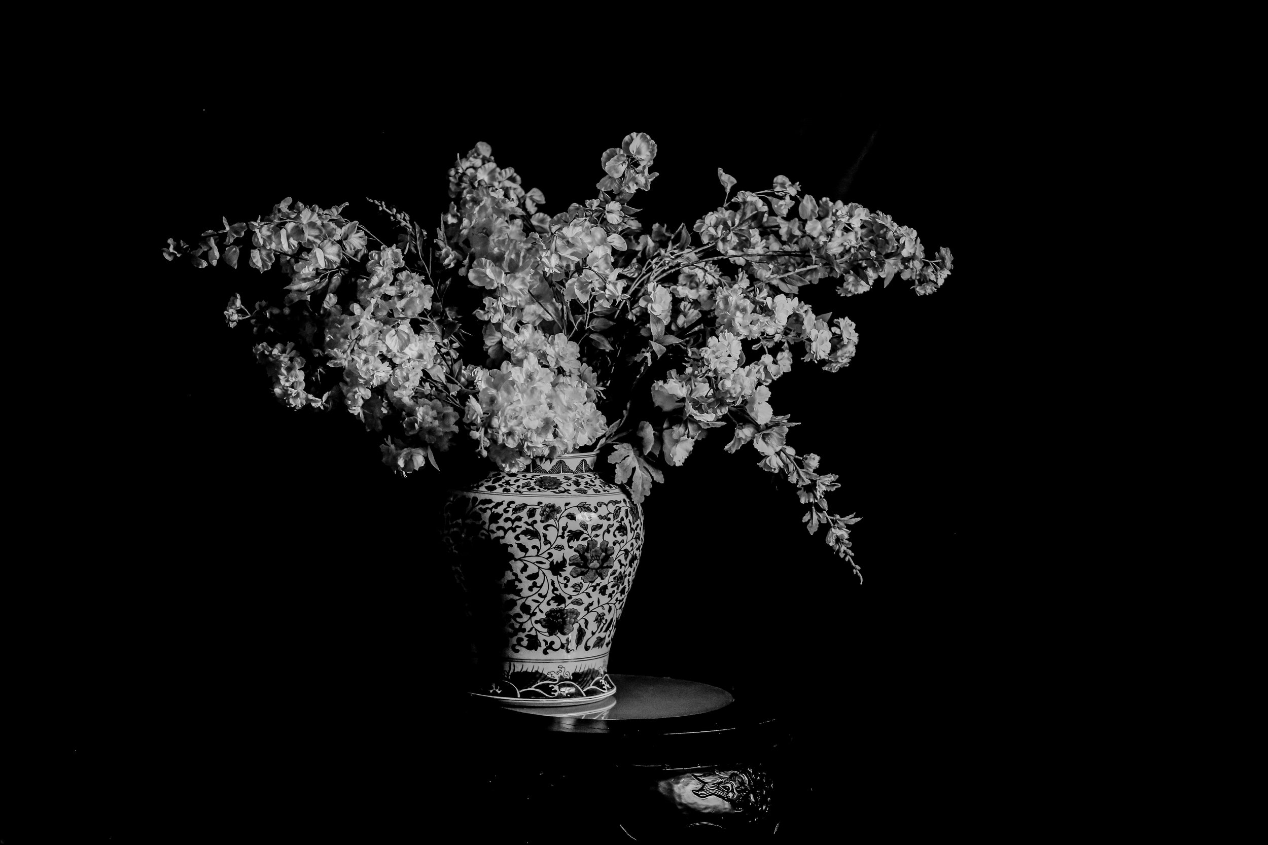 _E8A1260 2-Edit.jpg