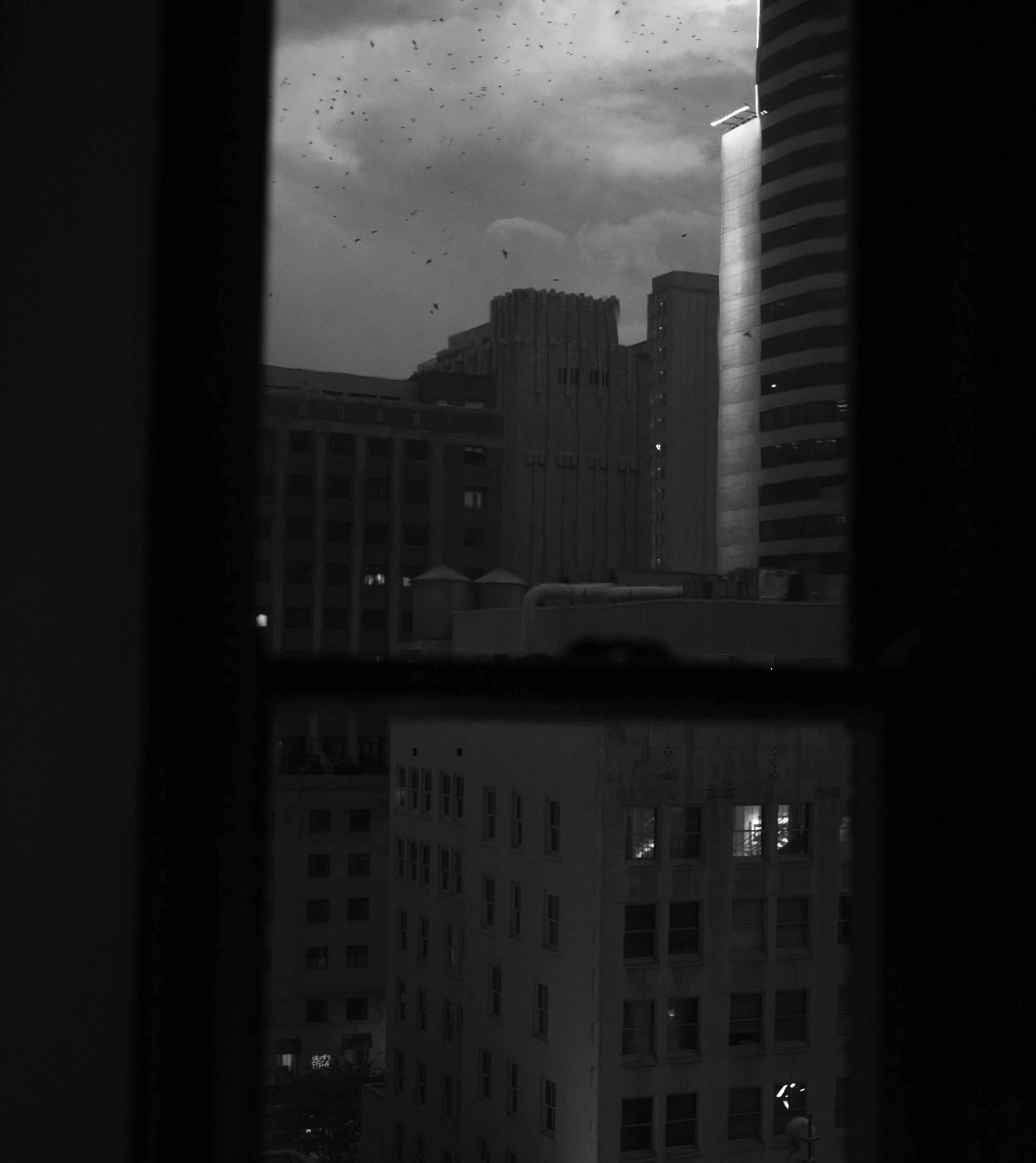 IMGP7760-Edit.jpg