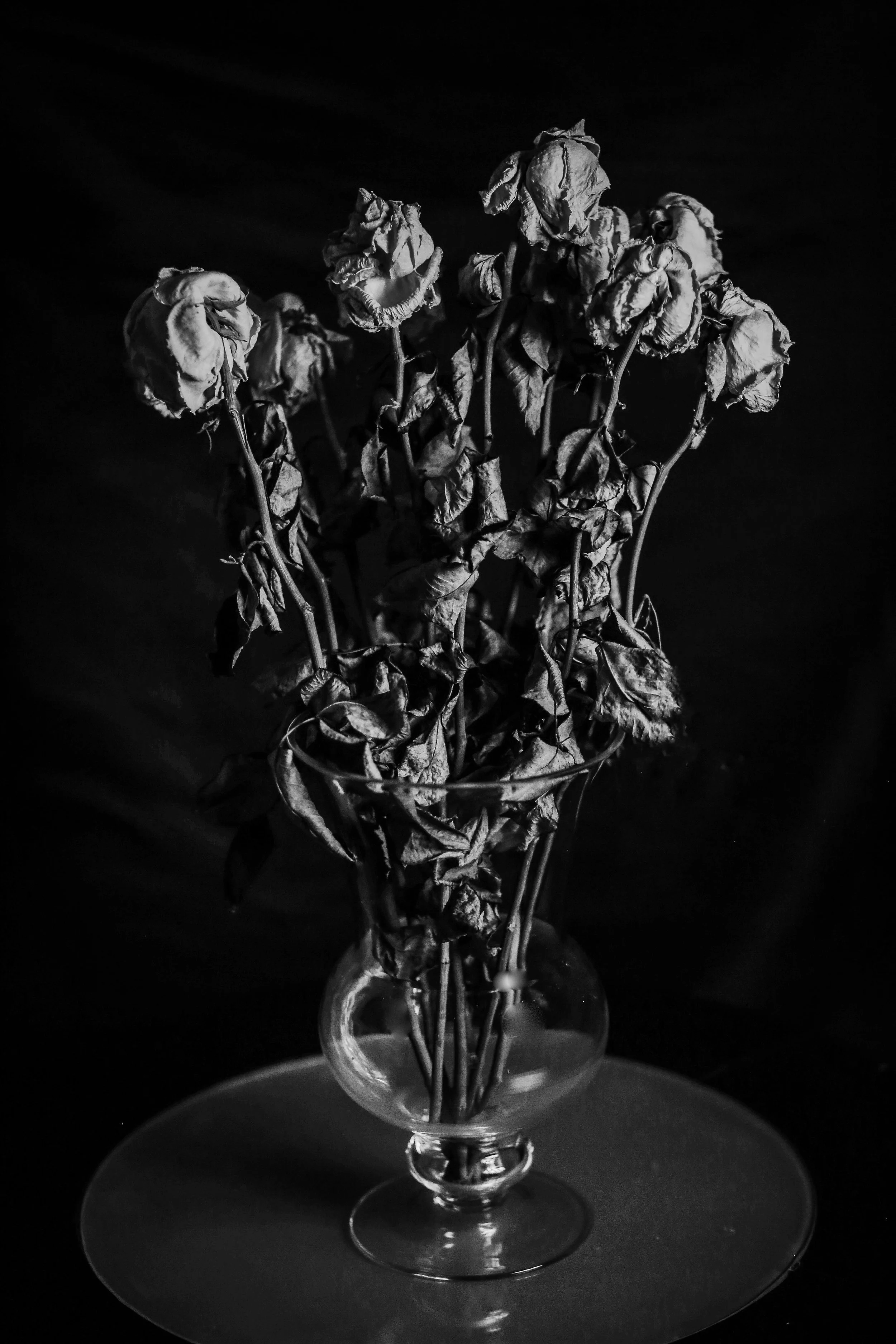 _E8A1361-Edit.jpg