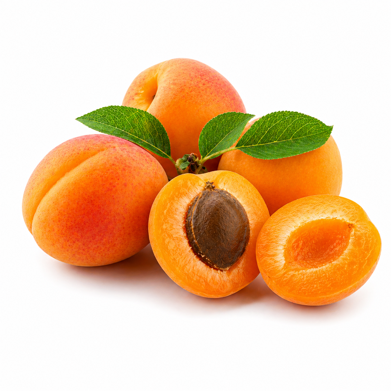 frozen apricot