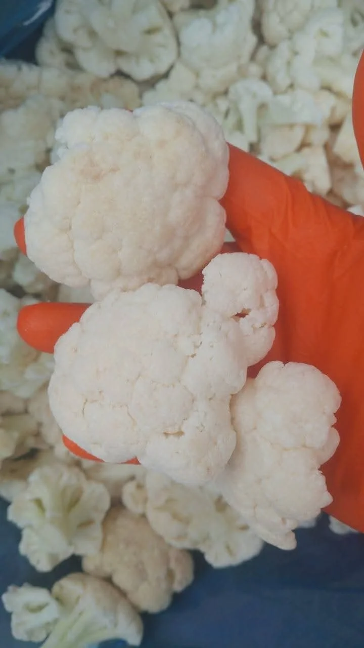 Frozen cauliflower  - GREEN FROST EG
