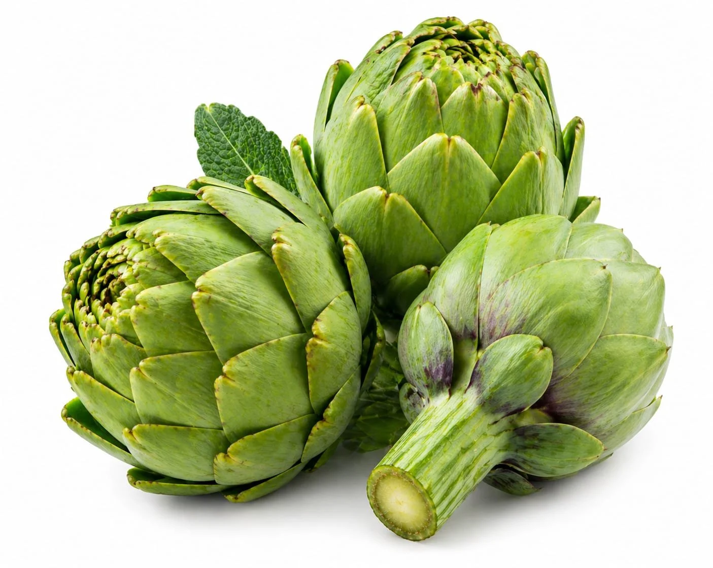 frozen artichoke