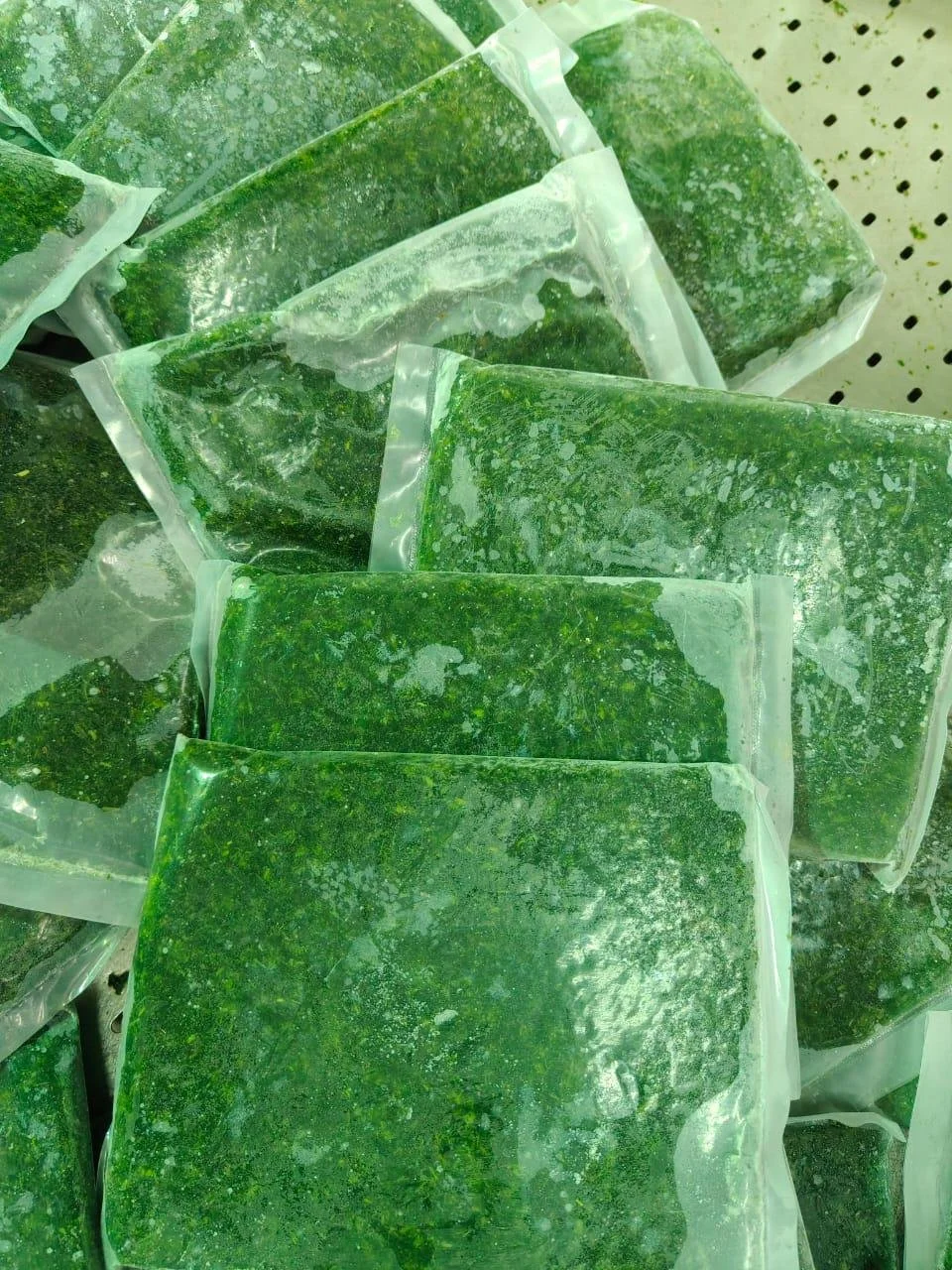 Frozen Molokhia Green Frost EG