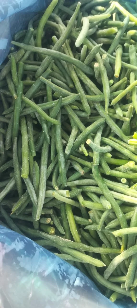 Frozen Green beans - Green Frost EG