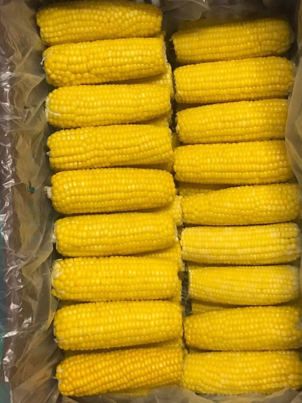Frozen sweet corn - Green Frost EG