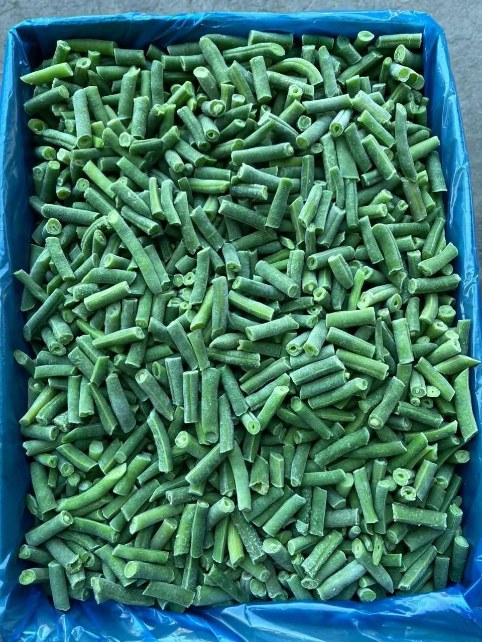 Frozen Green beans - Green Frost EG