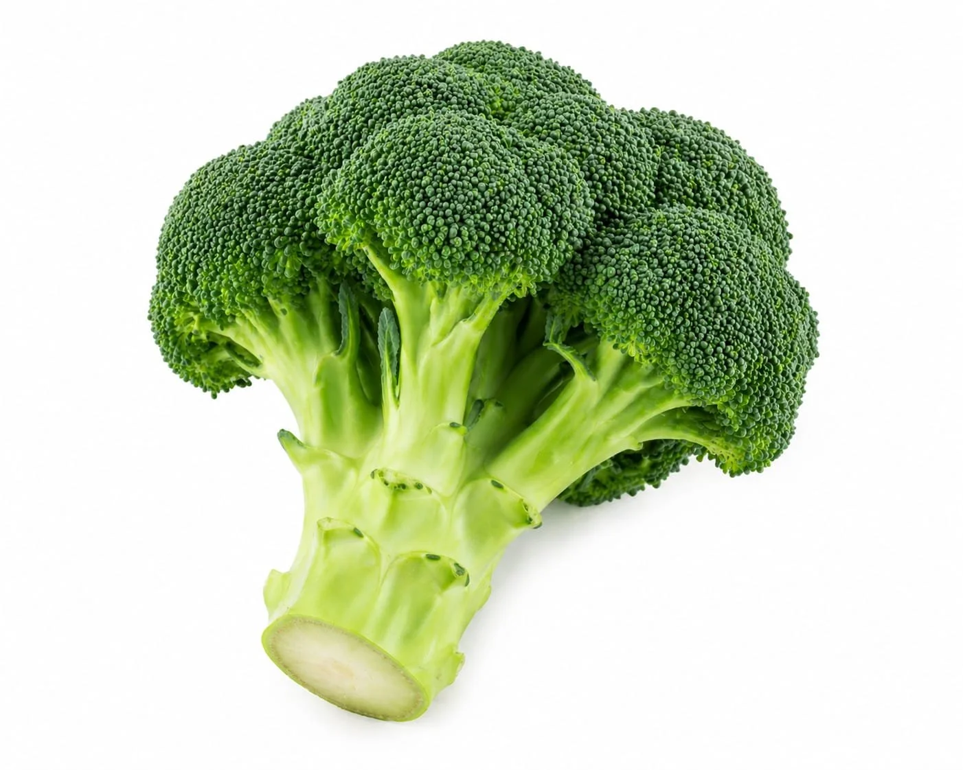 frozen Broccoli