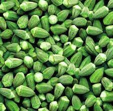 FROZEN OKRA - GREEN FROST EG