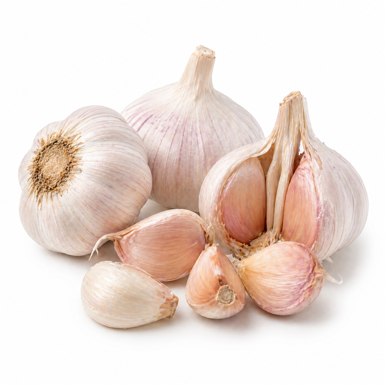 fresh garlic