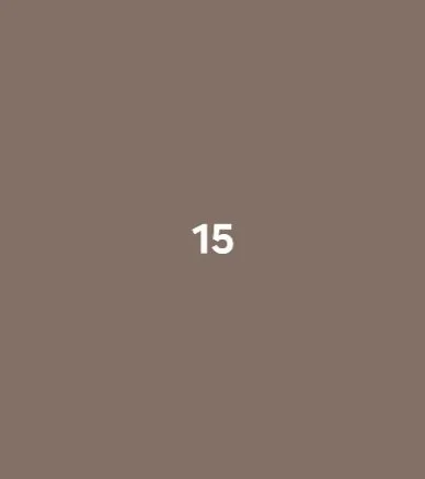 A brown background with the number 15 in white in the center.