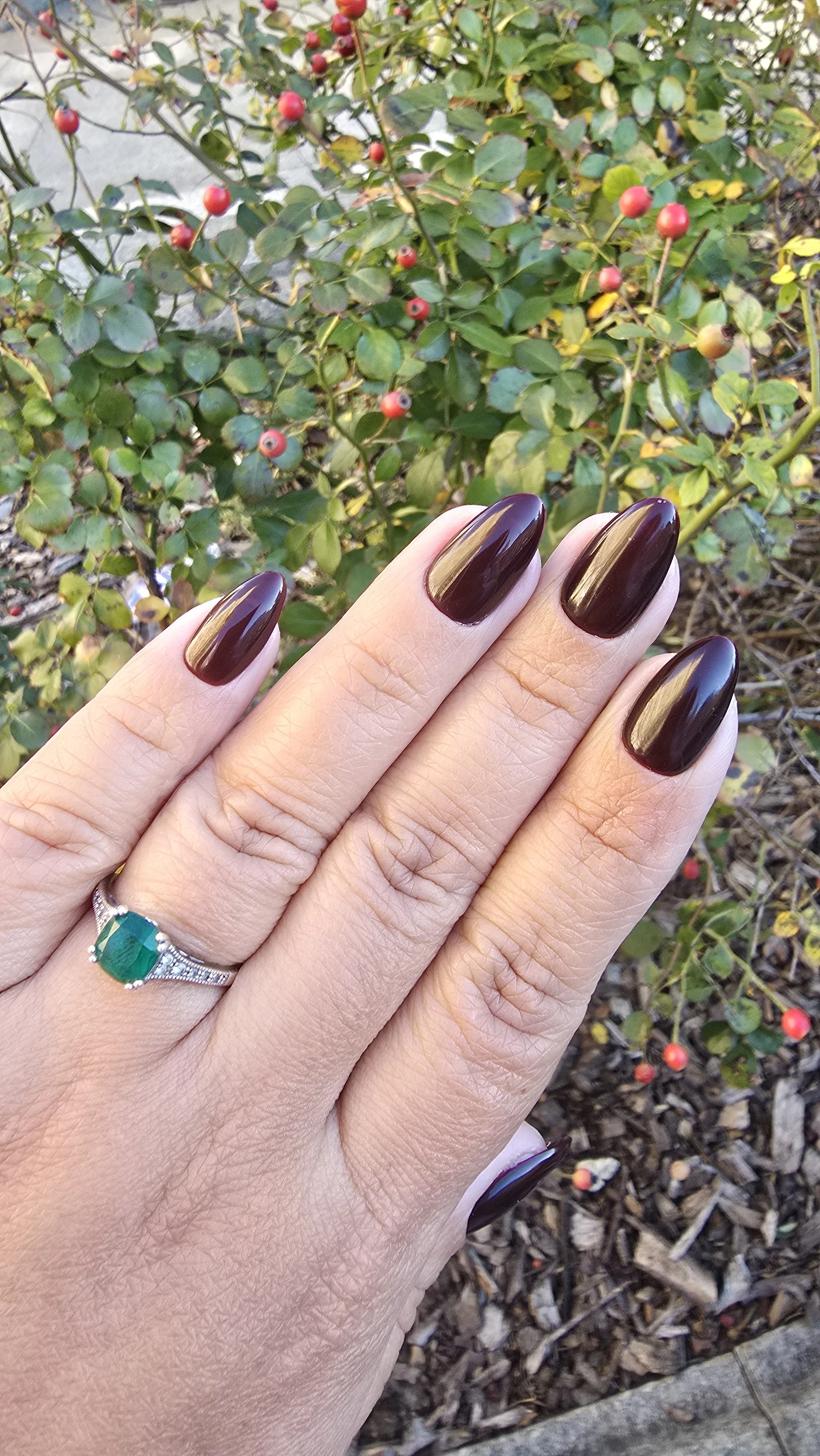 cherry-mocha-nails-short-almond