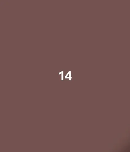 Number 14 on a brown background.