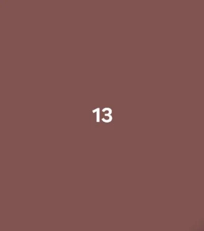 A brown background with the number 13 centered in white text.