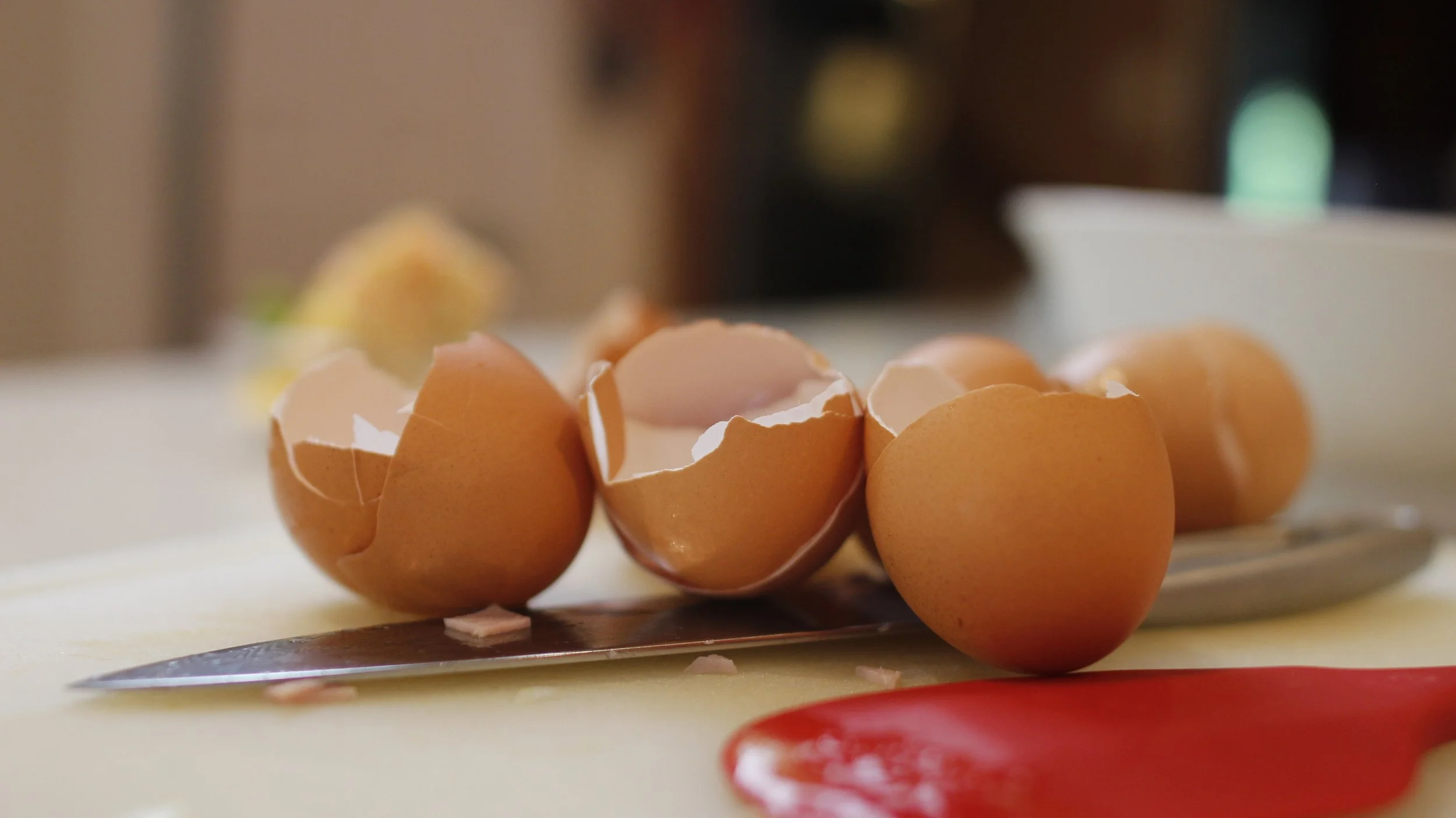 eggs.JPG