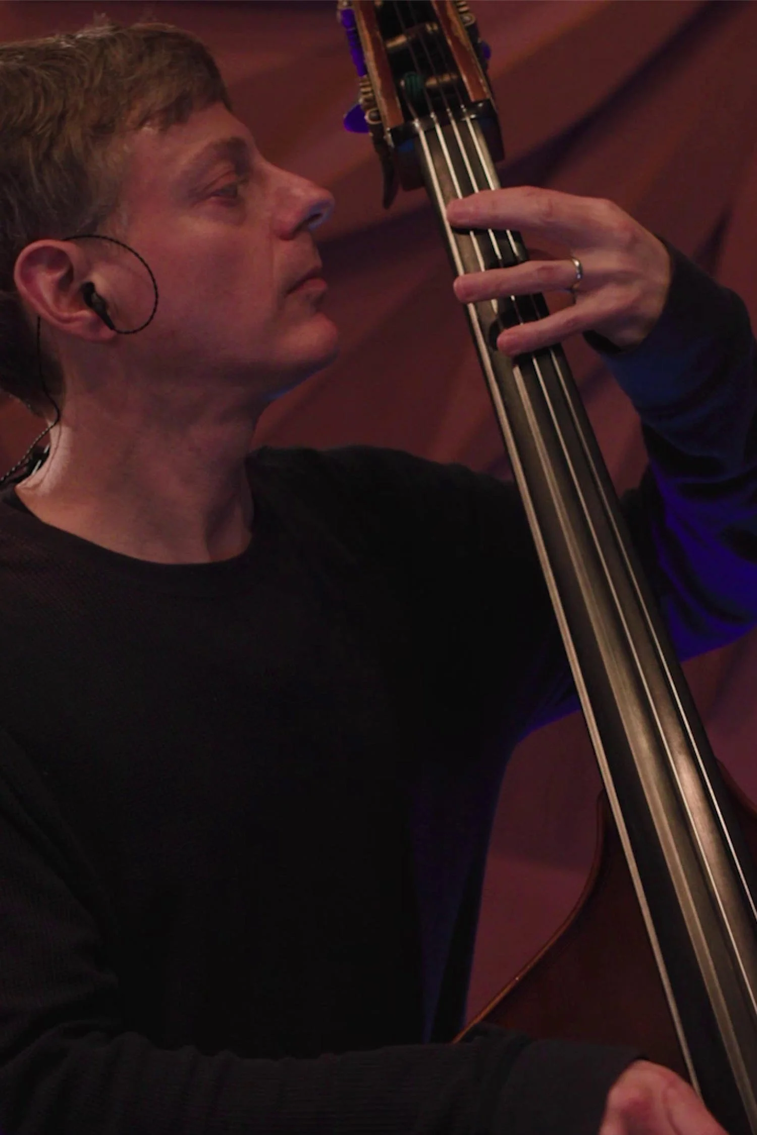 Dan Feiszli upright bass musician