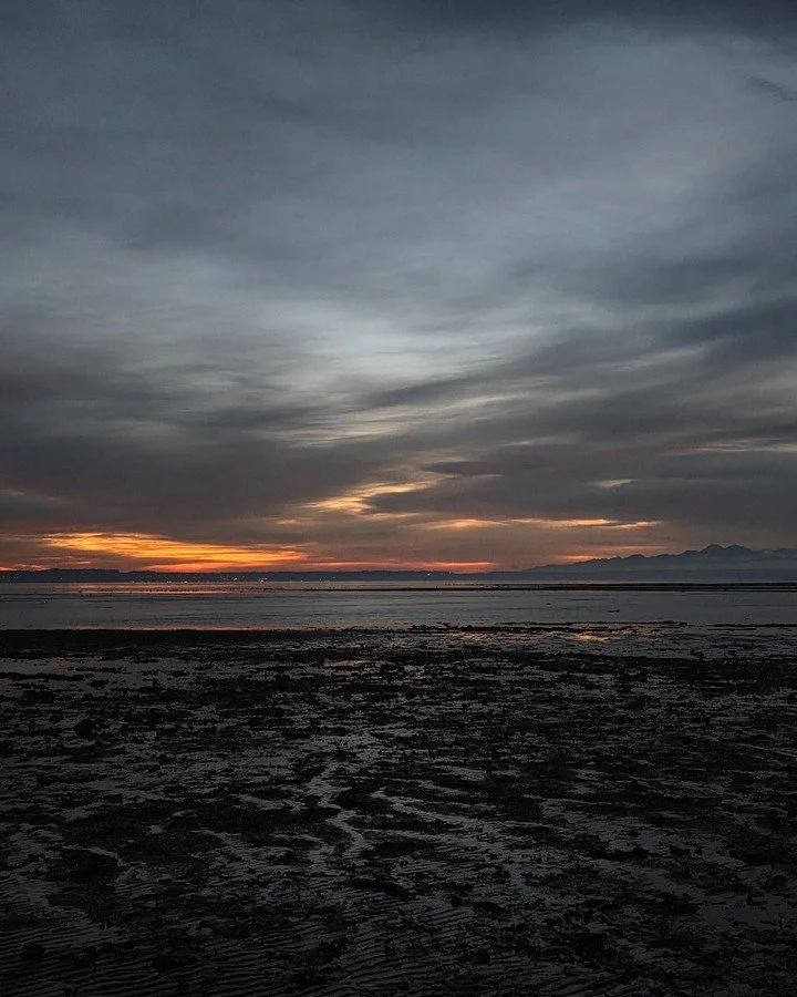 New Moon &amp; Winter Solstice 🌚❄️

Winter is a time of deep listening. The ears are associated with the Kidneys and Water element, which belong to Winter. It's a time to turn inward, get quiet, and listen. As we move into the final days before the 