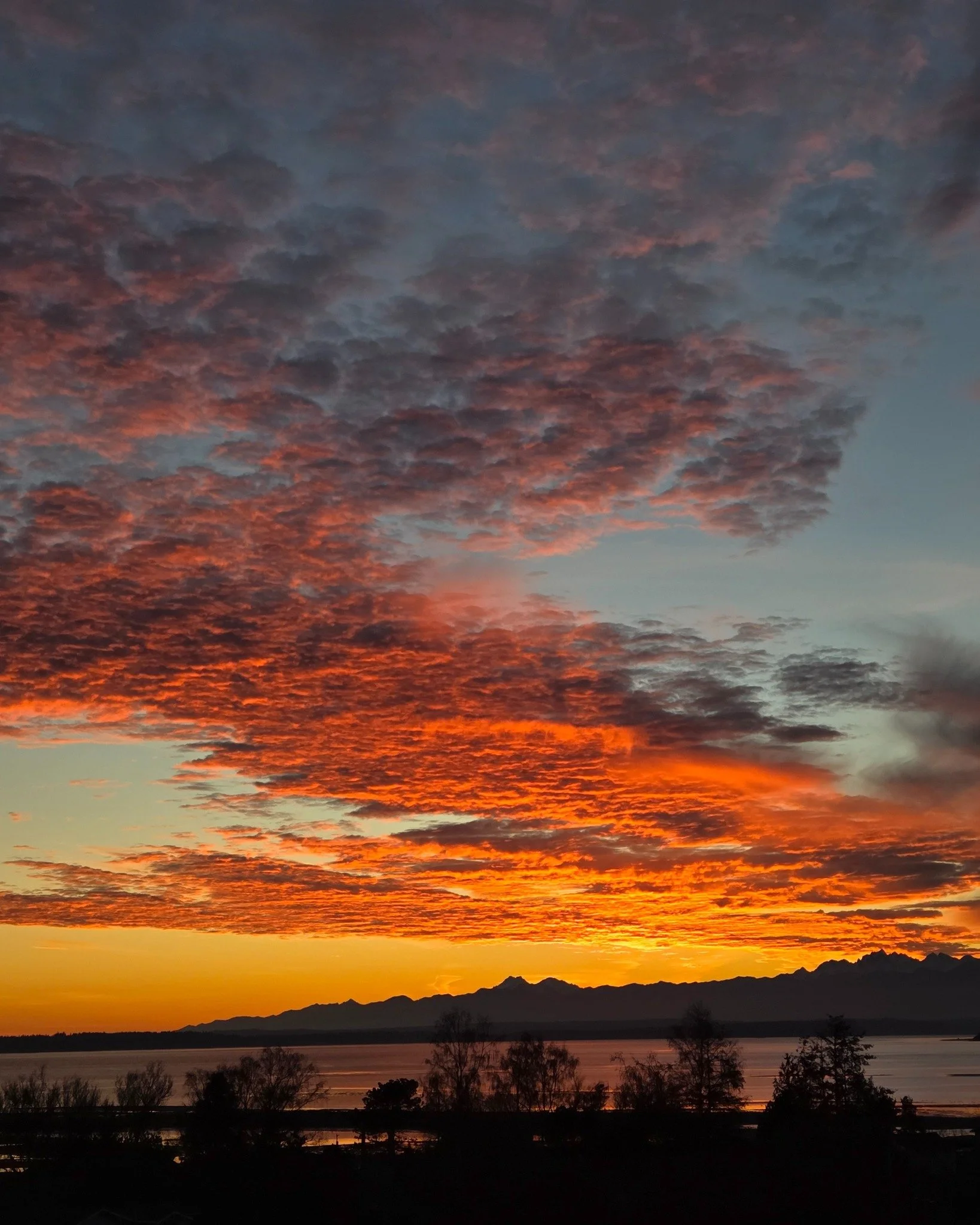 Goodbye 2025, Welcome 2026 &amp; Cancer Full Moon

I rarely catch the vibrant sunsets that we've been having lately because I'm still not expecting it to be before 4:30. Yesterday, I caught it, and, WOW, it was worth the 41 degrees without a proper c