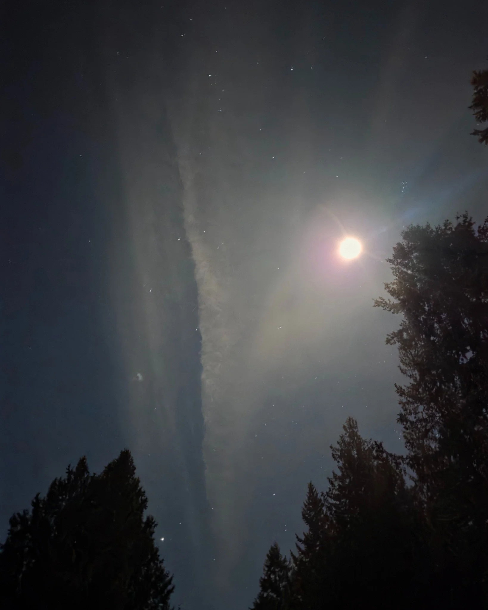 Steady Scaffolding &amp; Capricorn New Moon

In the final months of 2025, the words &ldquo;Steady Scaffolding&rdquo; kept arriving while my mind was quiet during yoga at the studio. It&rsquo;s become my intention for not just 2026, but this whole 9 y