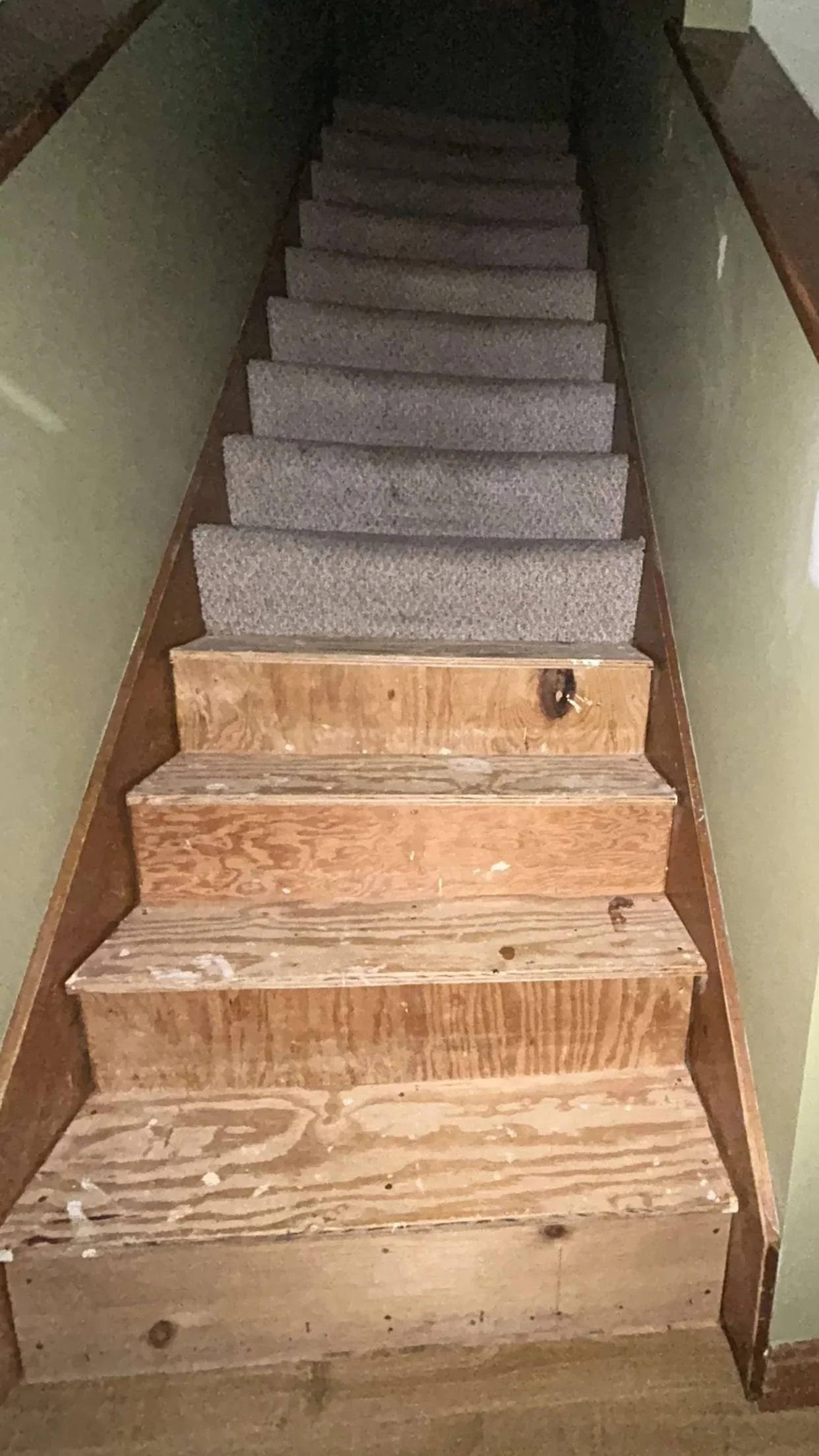 Dirty staircase with wooden steps at the bottom and then transitioning to carpeted steps leading upward.
