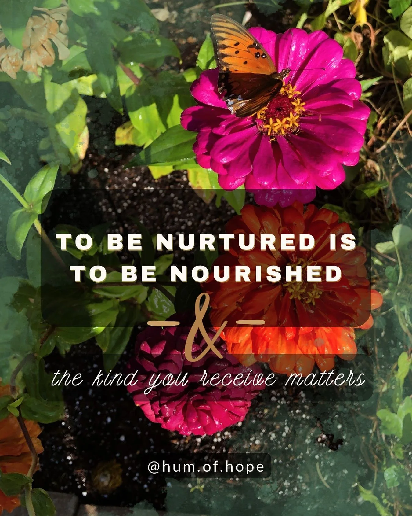 #nurturance is a form of #nourishment ❣️ 
nurturing another often involves attention, consistency, intentionality, and effort. done well based on needs, this can feel like wonderful nourishment 🧸🛀🏼🗽🌞
remember: it matters where you&rsquo;re plant