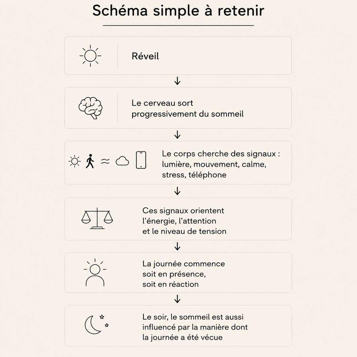 Schéma simple sur le réveil quotidien