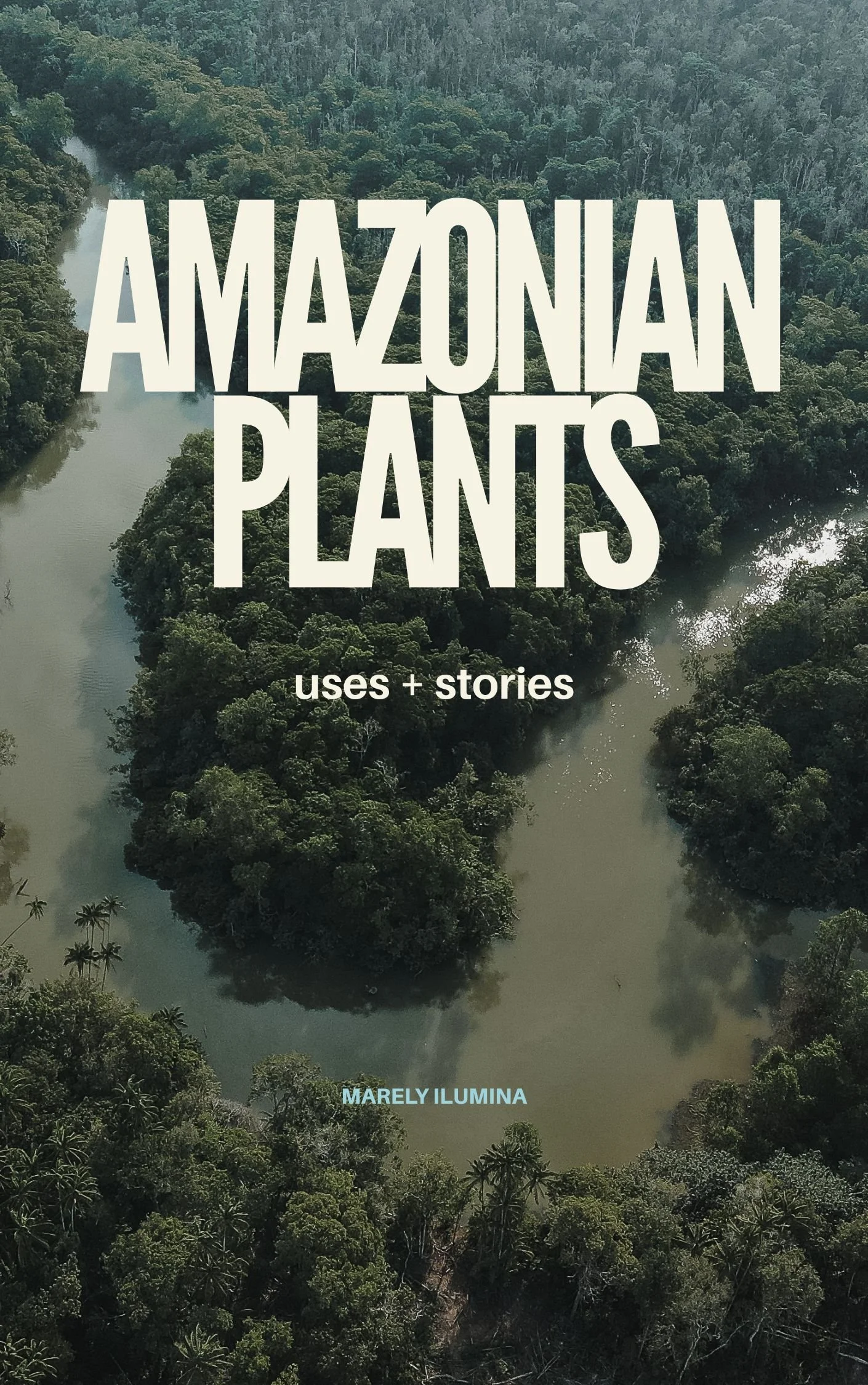 Amazonian plants.jpg