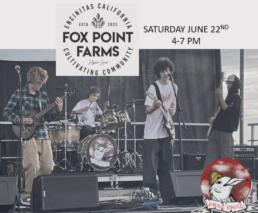 Screenshot 2025-07-05 112601.png