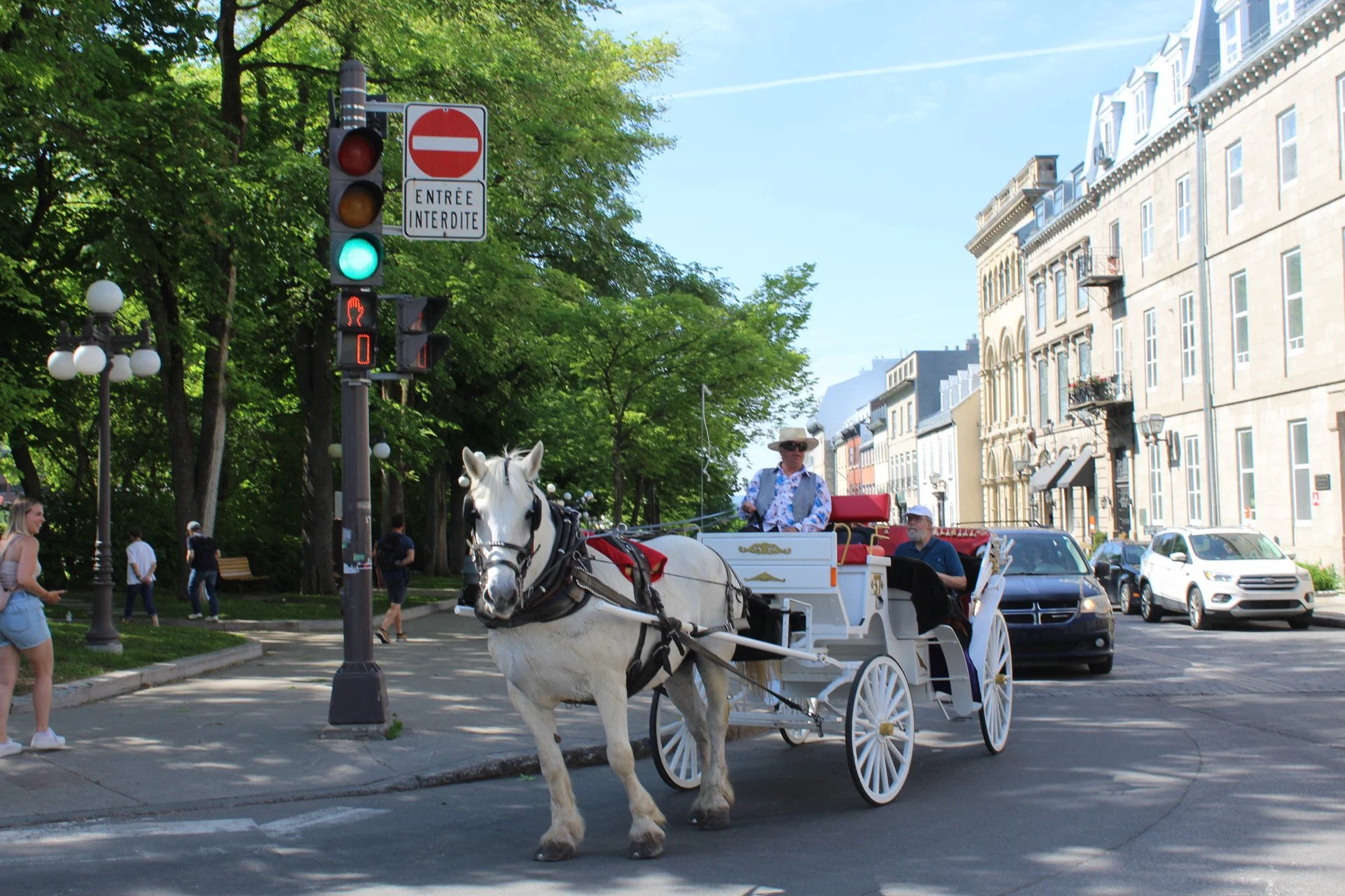 A white horse pulling a carriage with two people, one wearing a hat and sunglasses, on a city street with trees and historic buildings.