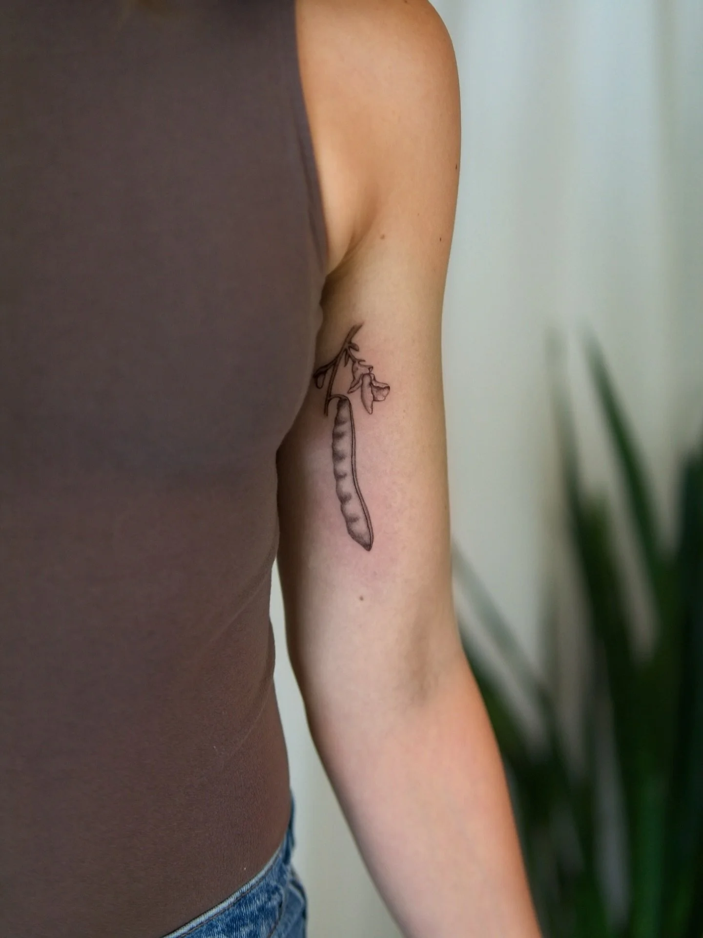 Cornfield green bean for Anna. It was such an honor to tattoo a childhood friend and honor her roots. 

#pnwtattoo #seattletattoo #tattooapprentice #seattletattooartist #washingtontattoo #seattletattoos #pnwtattooartist #vegetabletattoo #beantattoo #