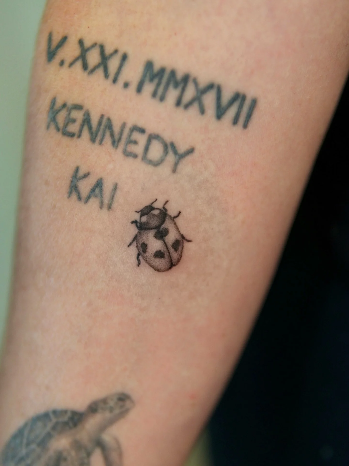 Little ladybug for Chelsea to commemorate a special memory with her kids. 

#pnwtattoo #seattletattoo #tattooapprentice #seattletattooartist #washingtontattoo #seattletattoos #pnwtattooartist #ladybugtattoo #botanicaltattoo #insecttattoo #floraltatto