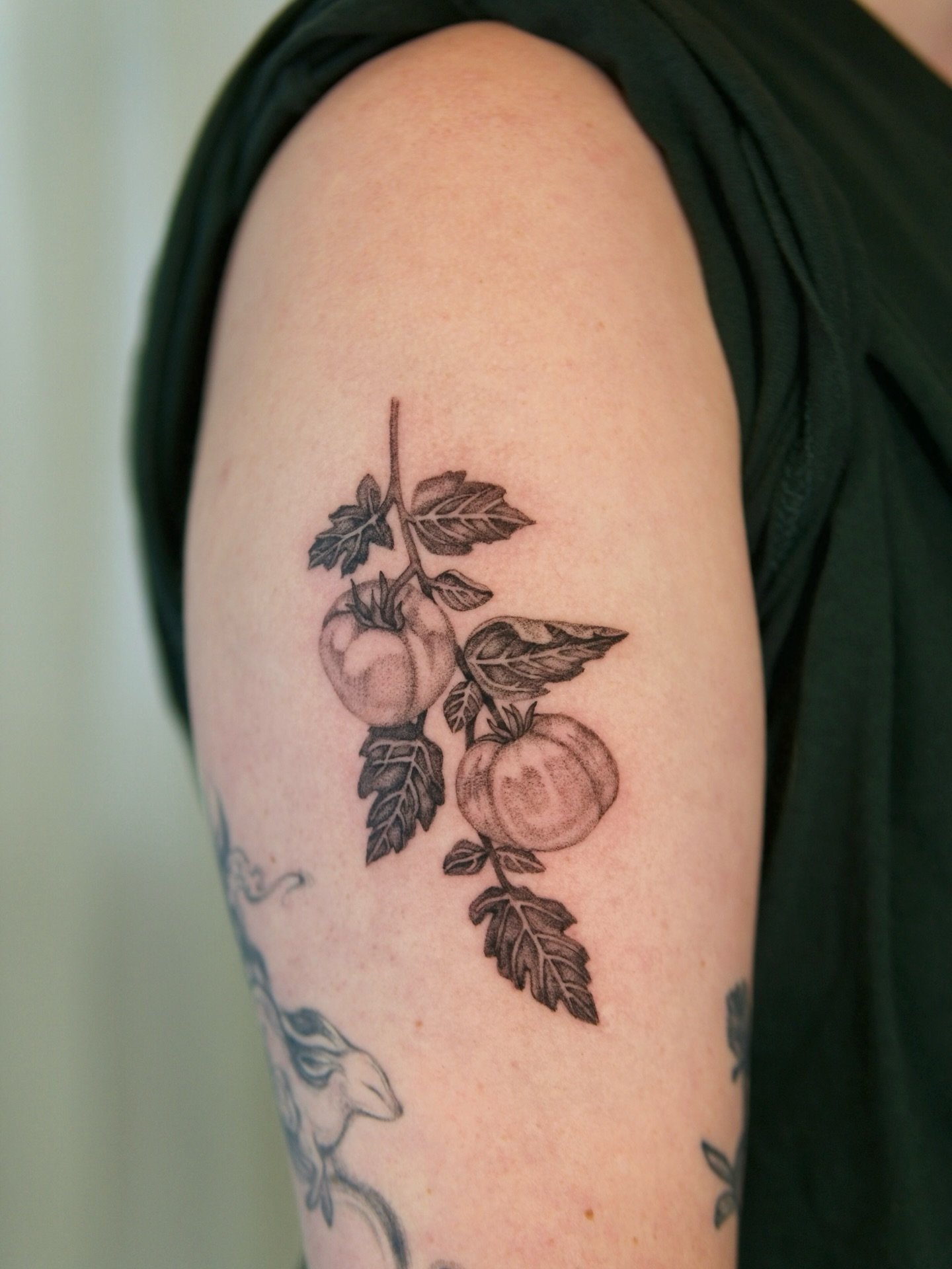 Tomato vine for Izzy! Booking end of November and December at apprentice rates! 

#pnwtattoo #seattletattoo #tattooapprentice #seattletattooartist #washingtontattoo #seattletattoos #pnwtattooartist #vegetabletattoo #tomatotattoo #bonetattoo #botanica
