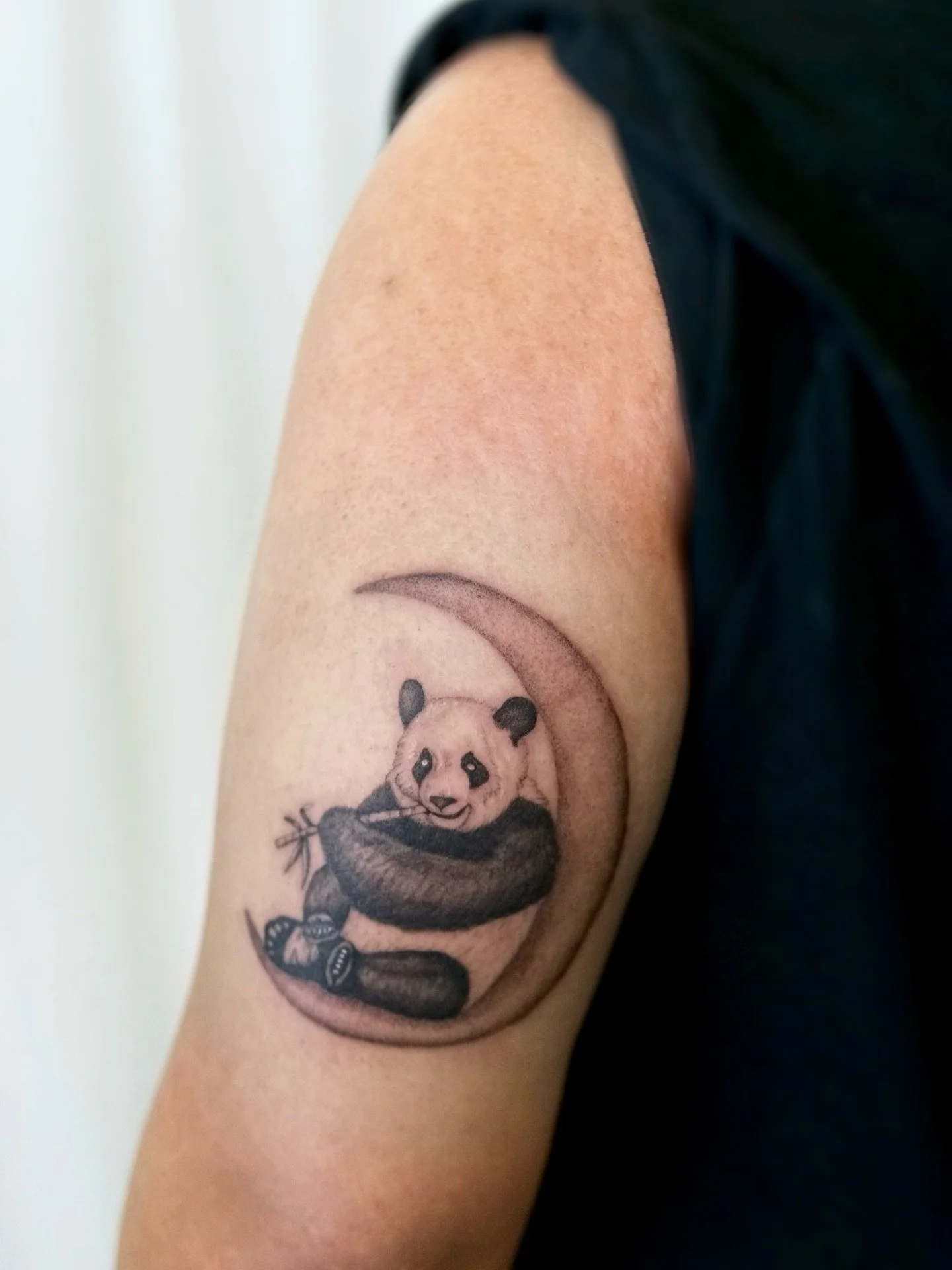 Panda in a crescent moon for Zach.

#pnwtattoo #seattletattoo #tattooapprentice #seattletattooartist #washingtontattoo #seattletattoos #pnwtattooartist #moontattoo #pandatattoo #botanicaltattoo #floraltattoo #seattlefineline #finelinetattoos