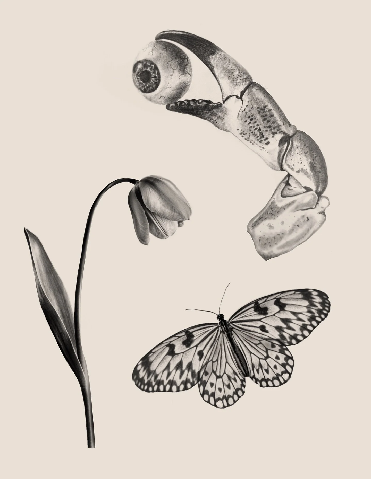 Spooky(ish) flash part 2! DM or fill out form in bio to book!
Lobster Claw with Eyeball- 4 inches min. $200+
Wilting Tulip - 3.5 inches min. $100+
Paper Kite Butterfly - 3.75 inches min. $150+

(Pricing above may increase with increased sizing.) 

#p