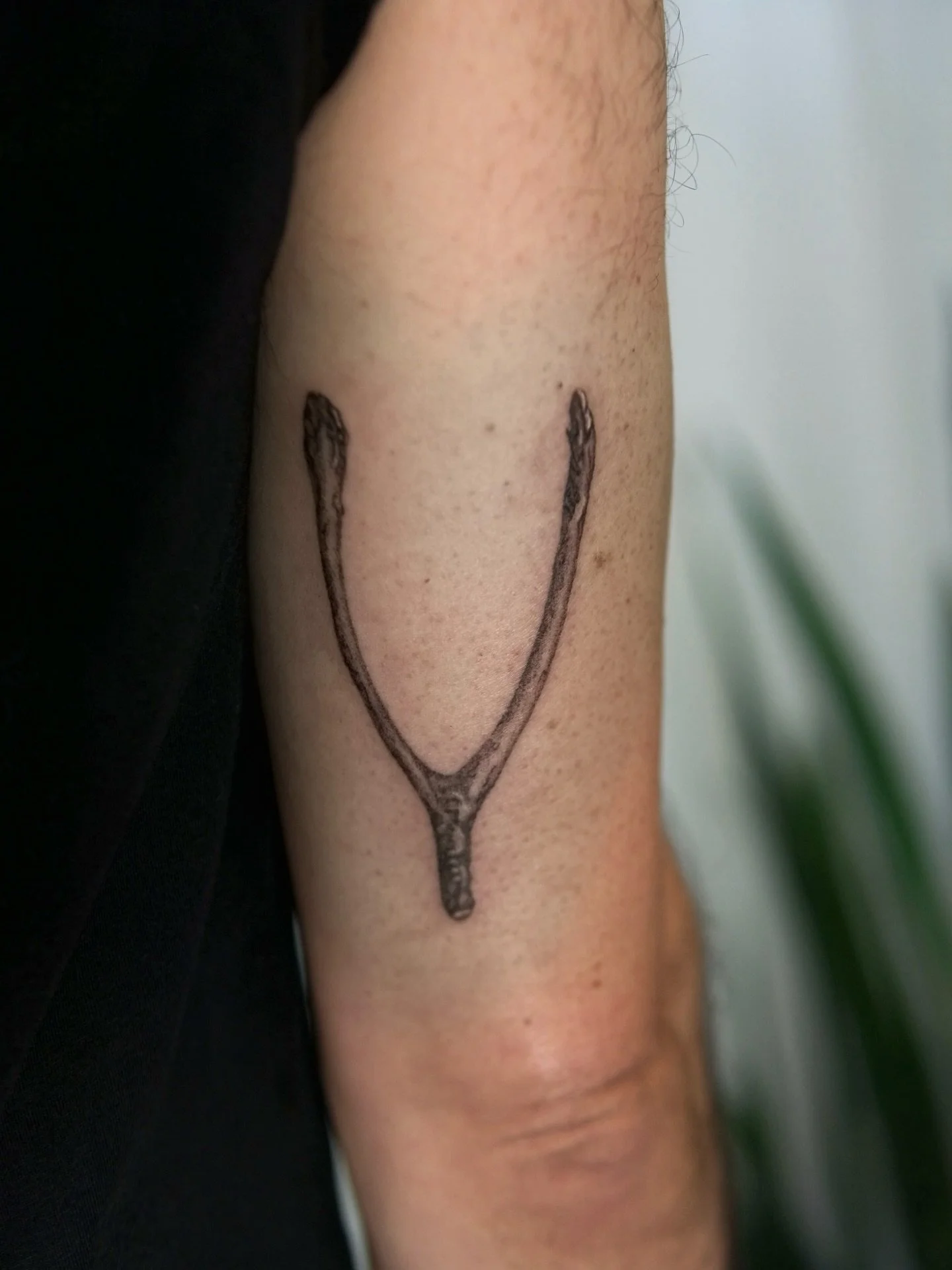 Wishbone tattoo for Jason! This was our third tattoo together and I really appreciate his continued trust. 

#pnwtattoo #seattletattoo #tattooapprentice #seattletattooartist #washingtontattoo #seattletattoos #pnwtattooartist #bonetattoo #botanicaltat