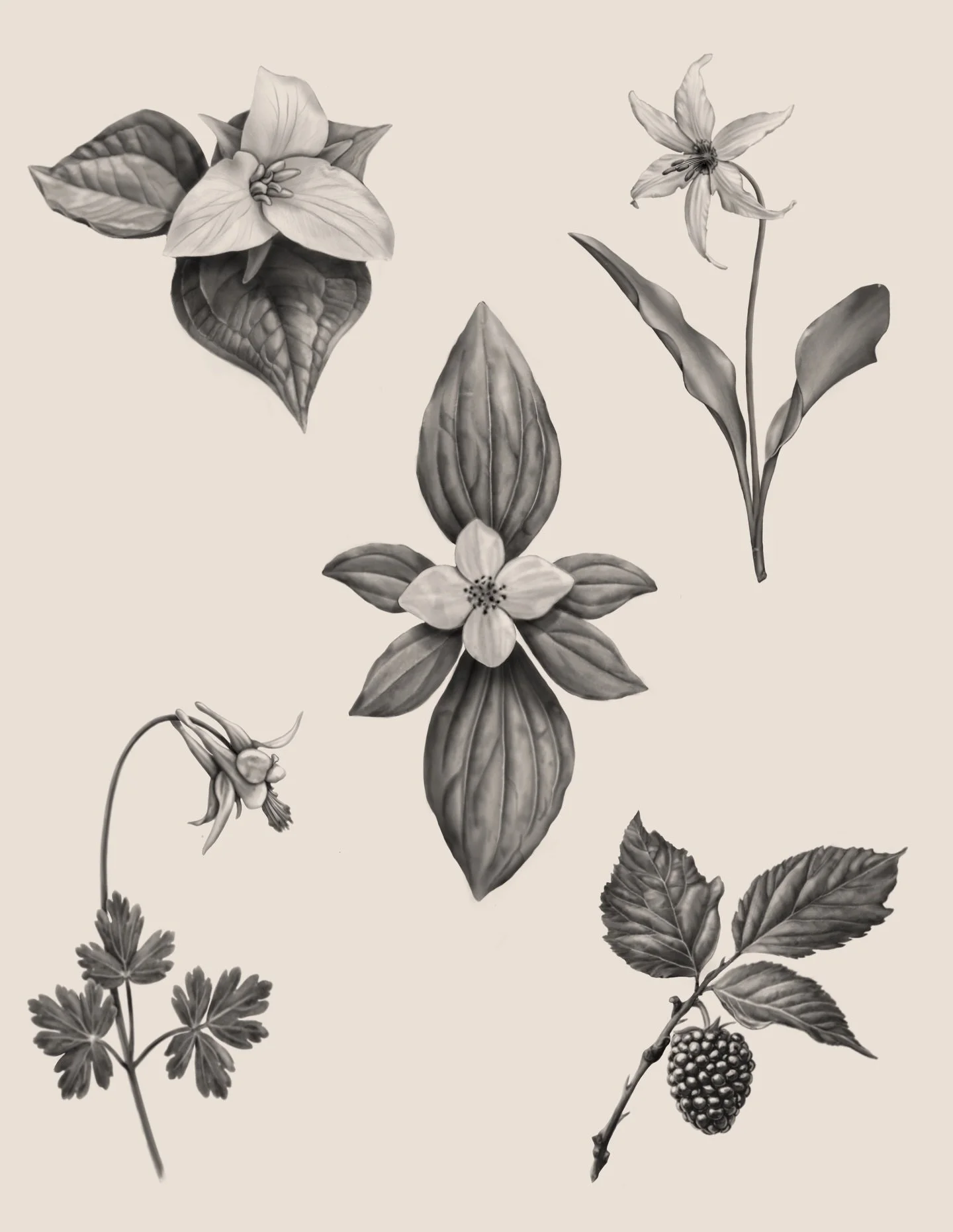 A few weeks ago I attended a workshop hosted by one of my biggest inspirations in tattooing, @grey.francis.tattoo . During the workshop we learned not only new tattoo techniques, but also tips on how to make our plants come alive. This flash sheet is