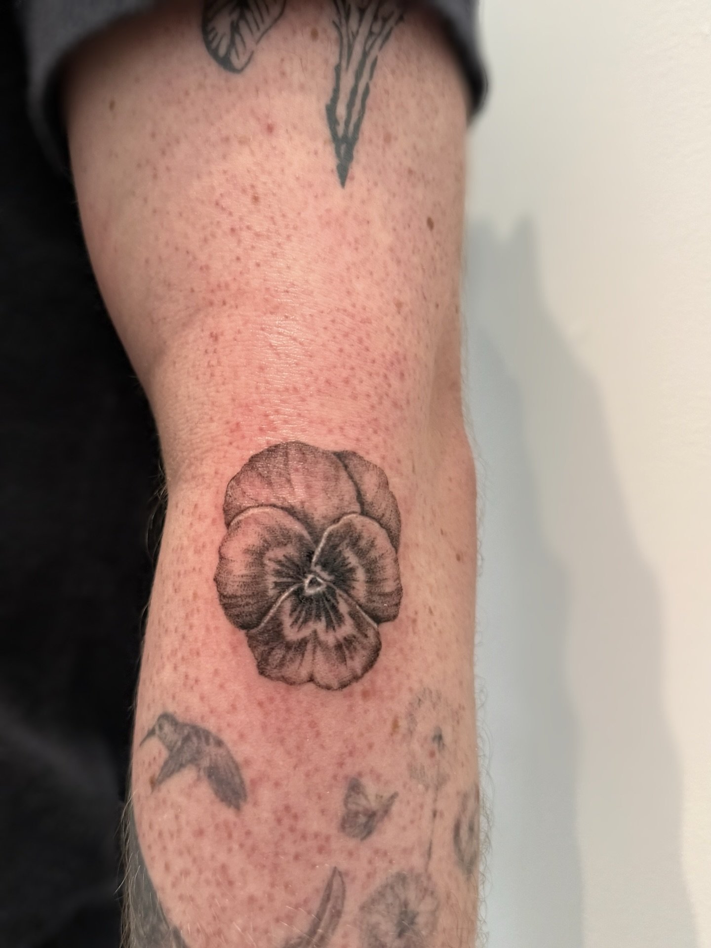 Pansy for Brady. Thanks for snatching up this flash piece! DM me if you are interested in getting a botanical tattoo, books open for March! 

#pnwtattoo #seattletattoo #washingtontattoo #flowertattoo #finelinetattoos
