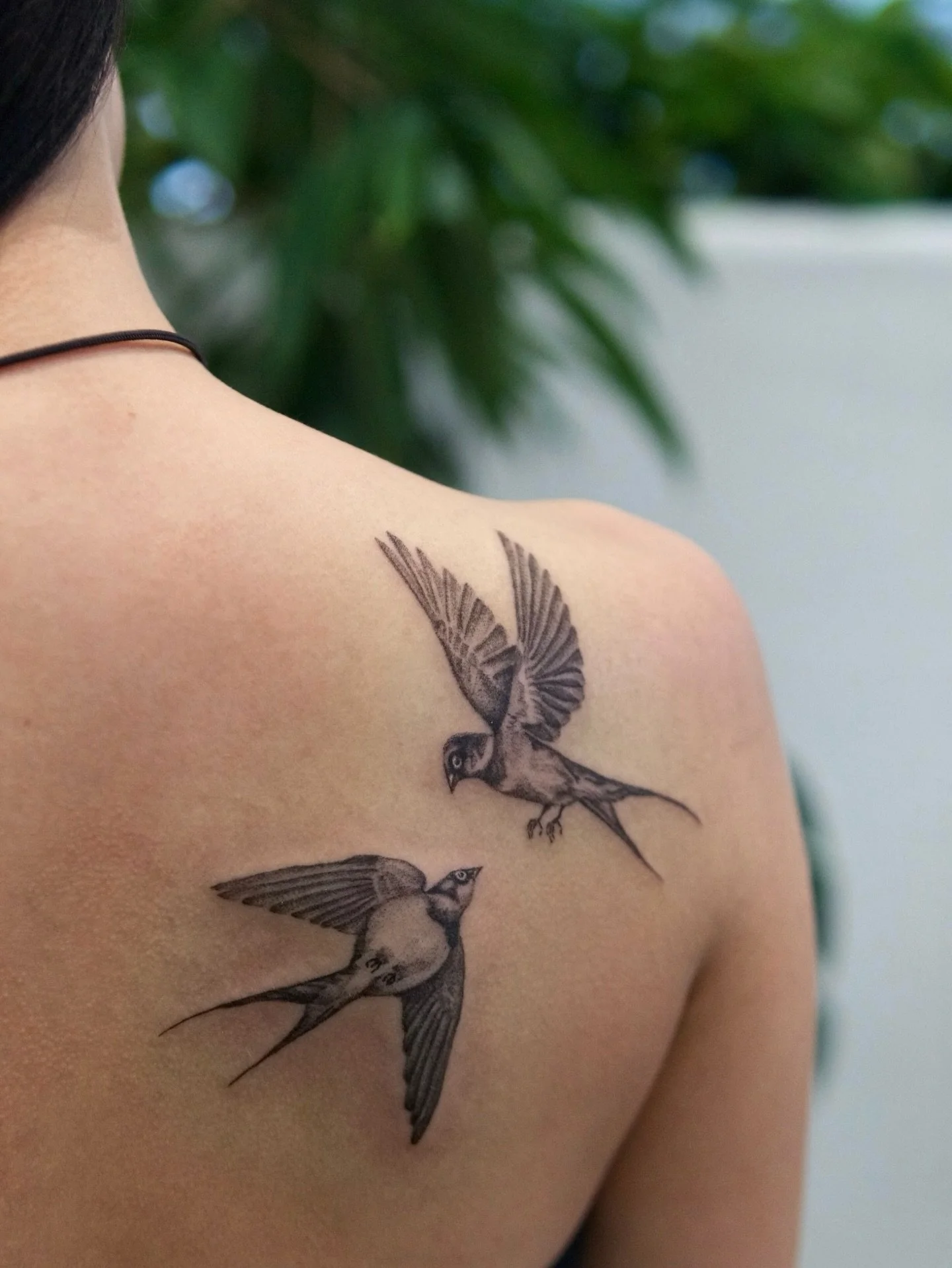 Swallows for Kristina. This tattoo was a birthday gift from her wonderful boyfriend and was such a fun session. Swipe for a satisfying stencil peel. DM me if you are interested in getting an animal or botanical tattoo. Books are open and only a coupl