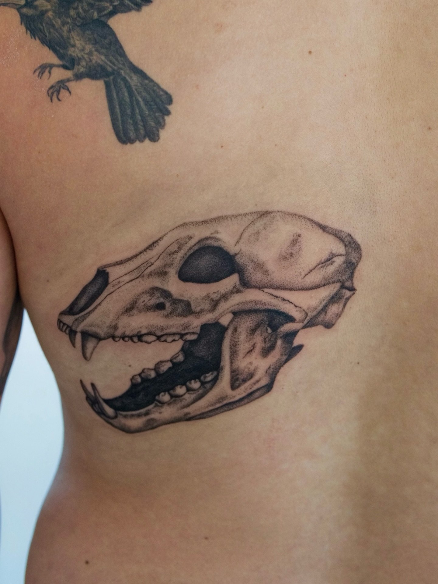 Work in progress! First session down on this bear skull for Jeff. Next round we&rsquo;ll build in some soft grays and whites, and start the next piece in his collection. Always appreciate the continued trust.