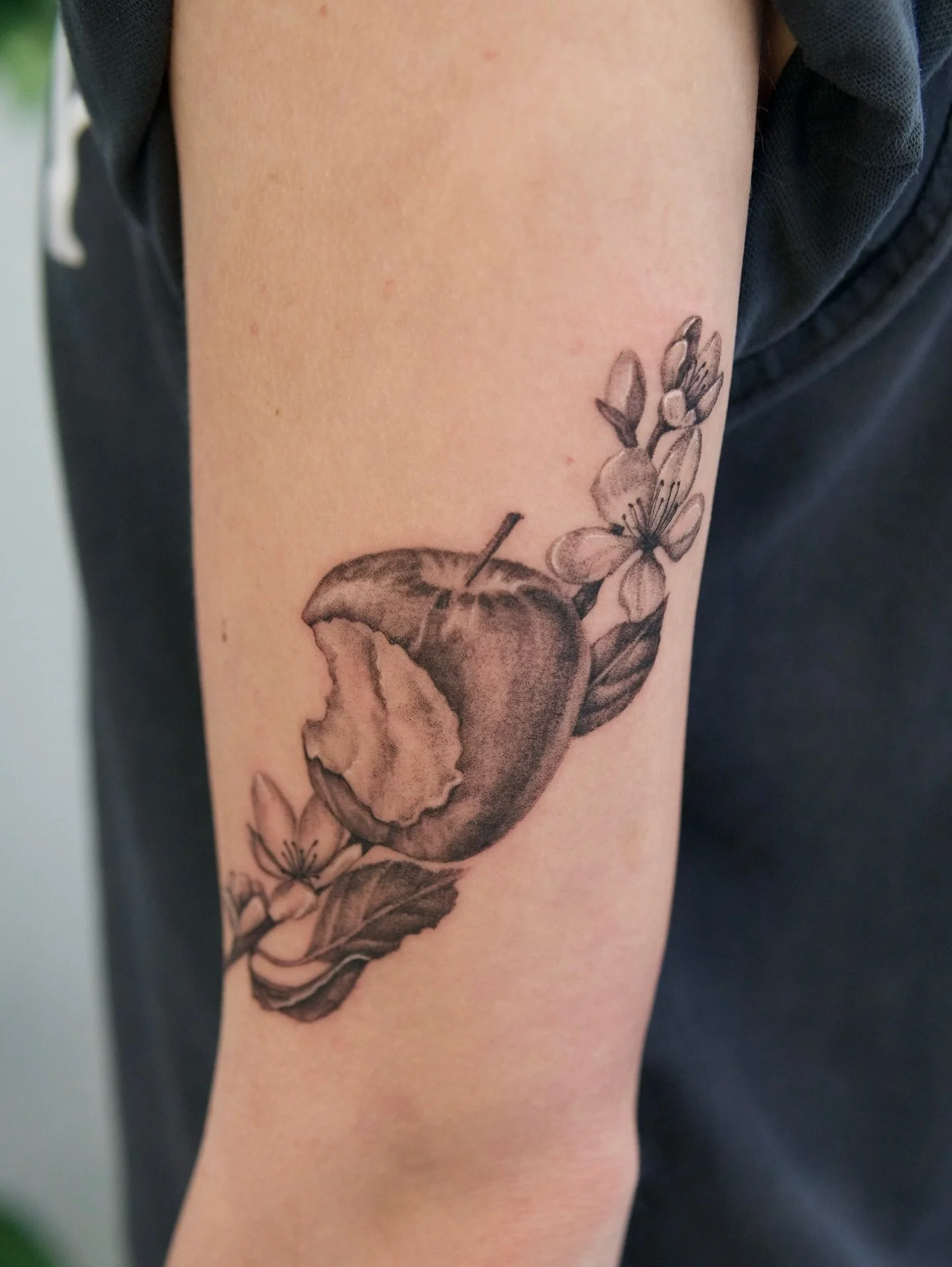 Apple with a flowering branch for Mo in honor of her grandfather&rsquo;s apple orchard. Such a fun and unique piece for my 50th tattoo! 

#pnwtattoo #seattletattoo #washingtontattoo #appletattoo #finelinetattoos