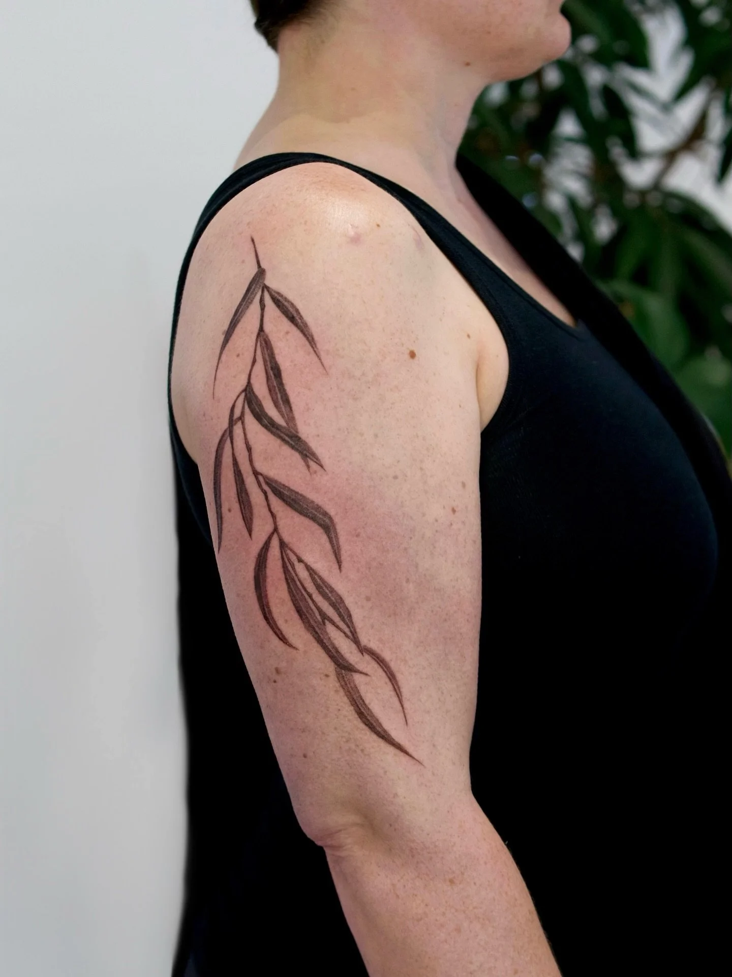 Willow branch for Kim! Such a fun first tattoo! 

#pnwtattoo #seattletattoo #washingtontattoo #willowtattoo#finelinetattoos