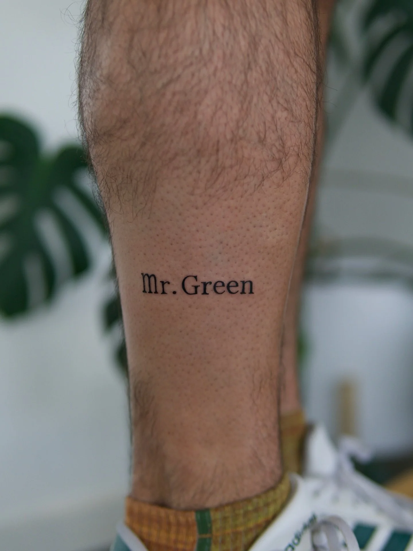 Small tattoo today for Sam to honor Mr. Green and the valuable lessons he taught.

#pnwtattoo #seattletattoo #washingtontattoo #finelinetattoos