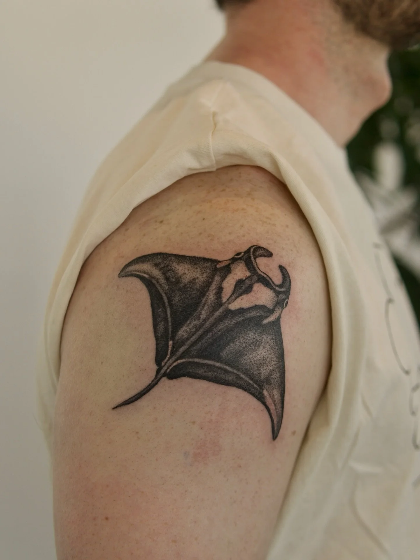 Oceanic manta ray for Stephen! Such a cool first tattoo to remind him of growing up in Florida and seeing these beauties in the wild. 

#pnwtattoo #seattletattoo #mantaraytattoo #washingtontattoo #finelinetattoos